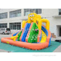 Residential Backyard Inflatable Water Slide Curved Brazil ,